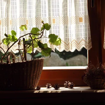 Bystry, Pod Nosalem 招待所 扎科帕内